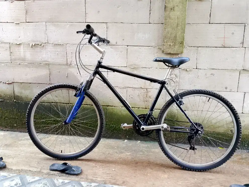 Sepeda bekas antik jadul batang full socket