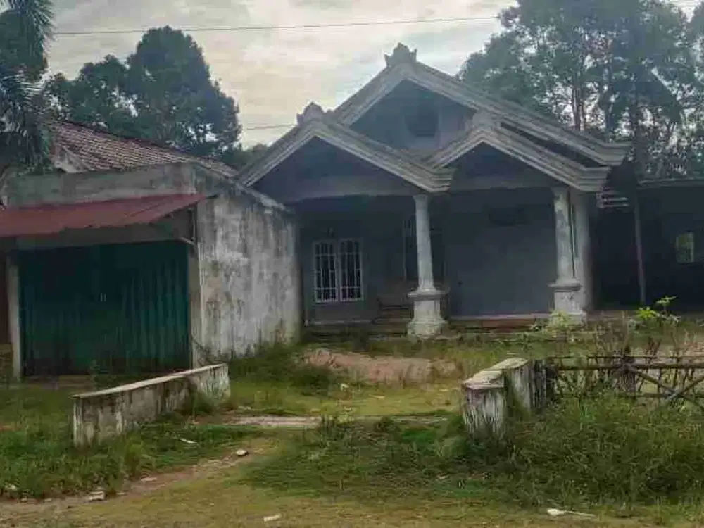 Dijual rumah Cocok untuk Usulan Lokasi  Indomaret Megang Sakti