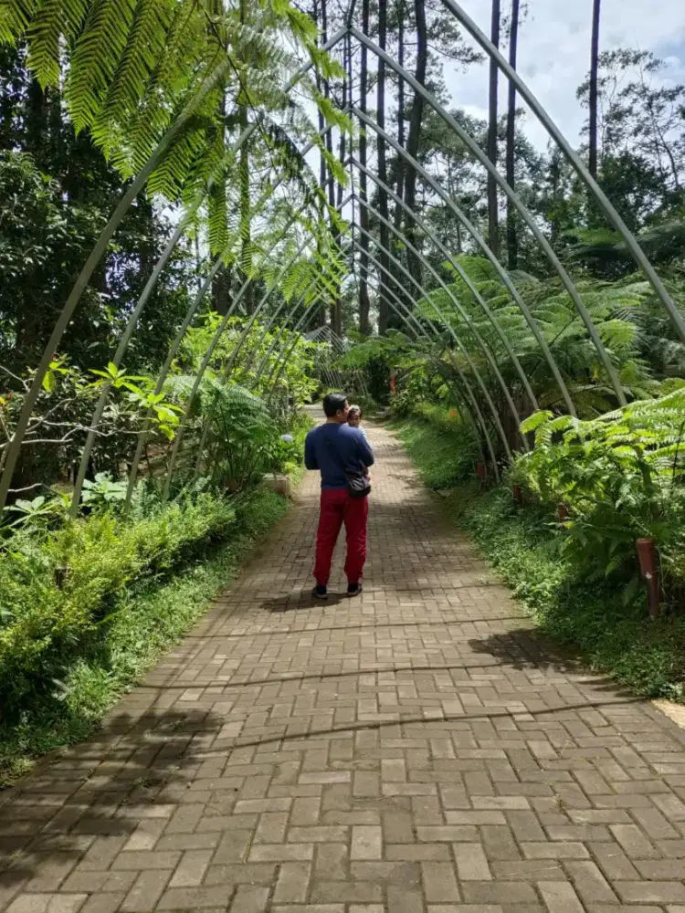 Di butuhkan wanita umur 18-30th jaga bayi umur 2th