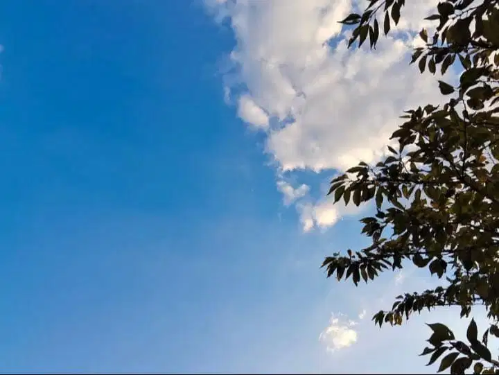 Pengasuh baby/baby sitter