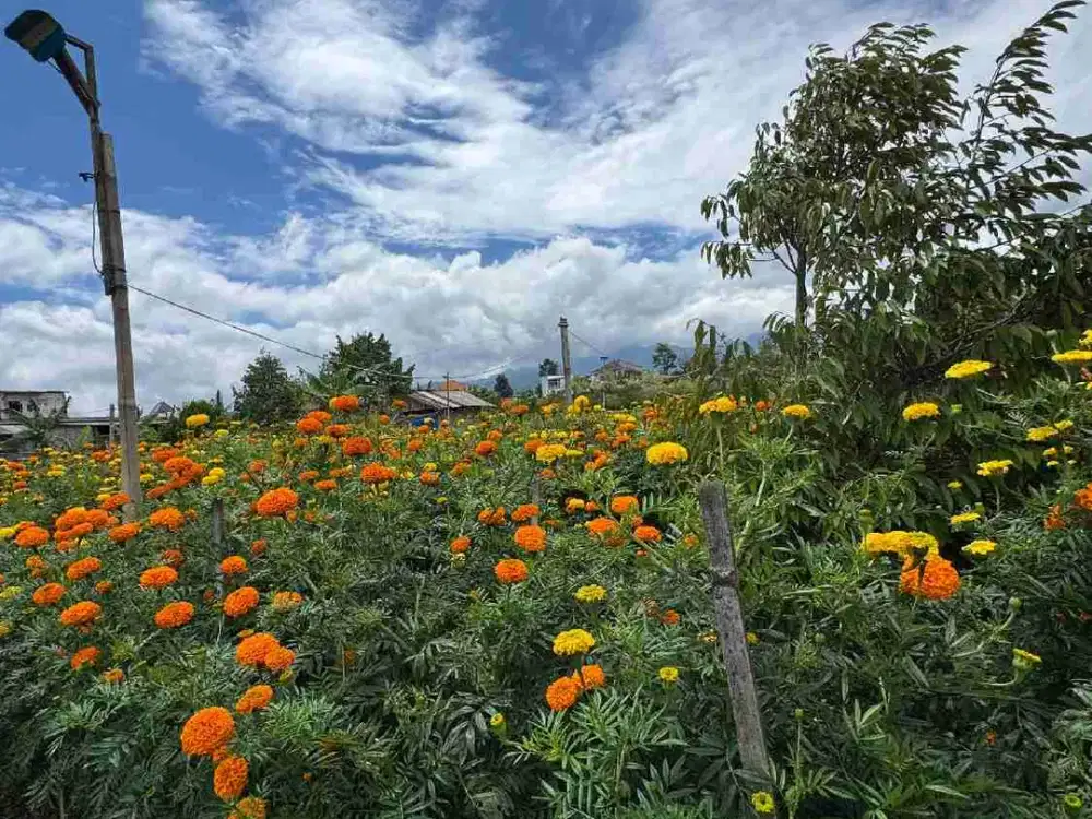 Tanah Perkarangan Kota Batu Siap Bangun