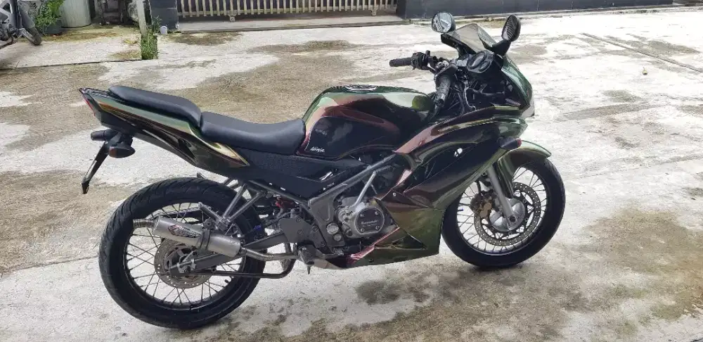 Kawasaki Ninja RR Superkips 2013