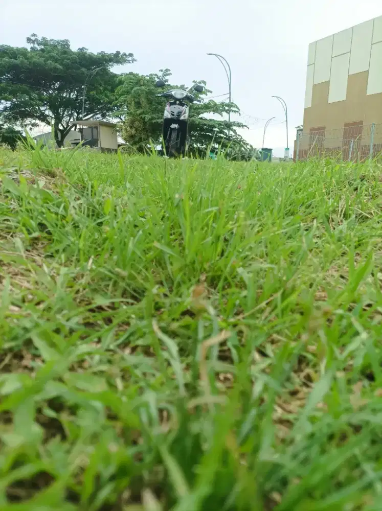 Mio sporty asli 5 TL