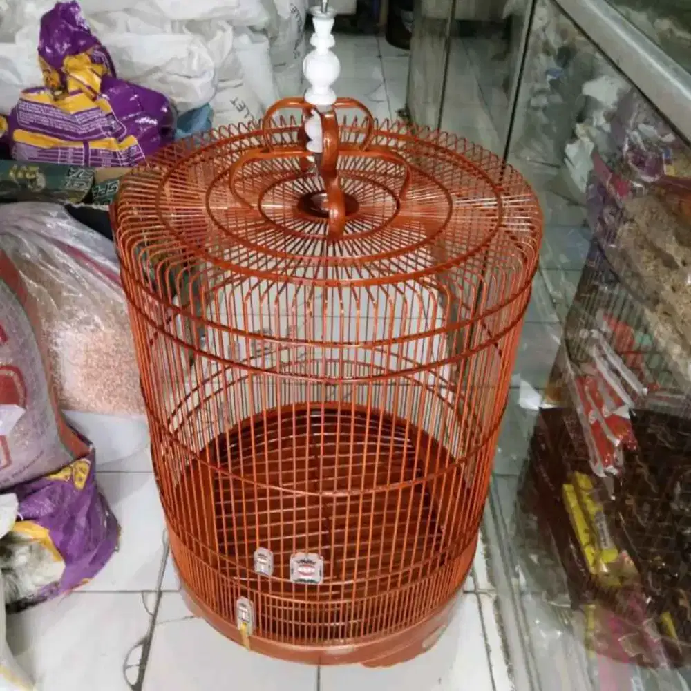 Sangkar kandang murai rafi reborn