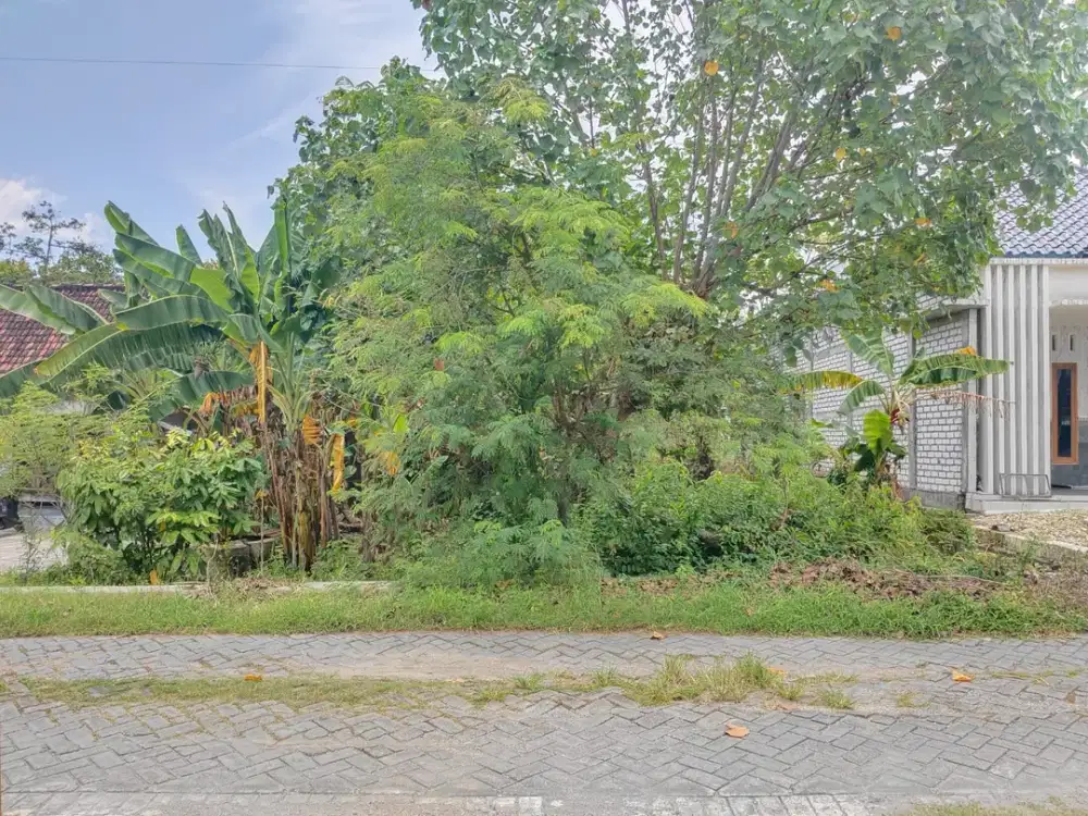 Lahan Tanah Ngantong Dekat Kawasan Industri Kedungpring Lamongan