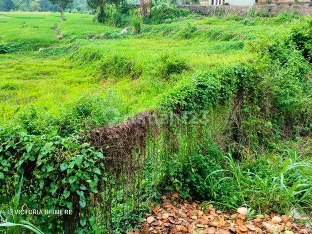 TANAH ZONA MIX USED SUPER STRATEGIS DEKAT TAMAN DAYU HARGA BAWAH PASAR