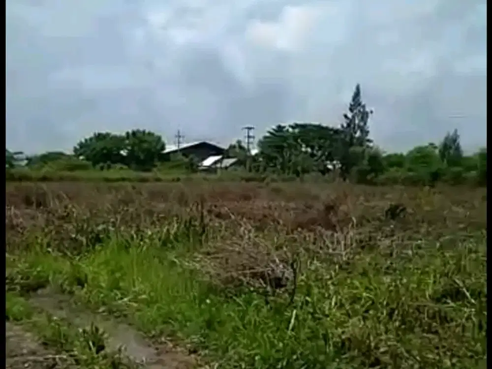 Tanah Zona Industri Tuban (Widang)