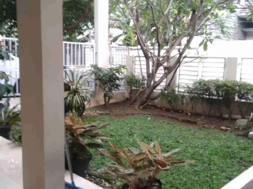 Sewa rumah Cipete jakarta selatan