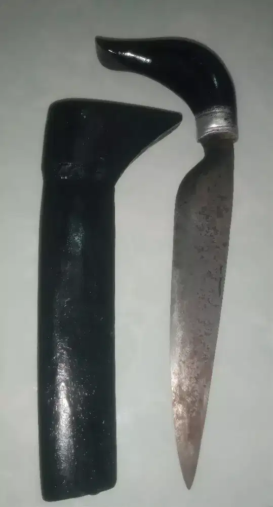 BADIk JEPOT BILA BIASA POLOS