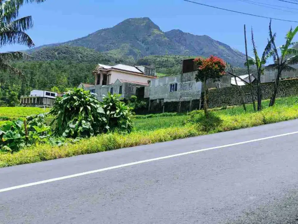 Tanah Strategis Tepi jl raya tawangmangu View bagus