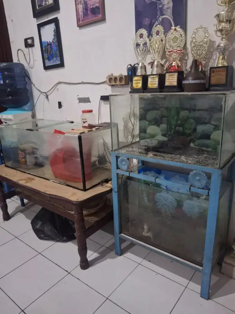 DI JUAL 3 BUAH AKUARIUM &  RAK MEJA BESINYA