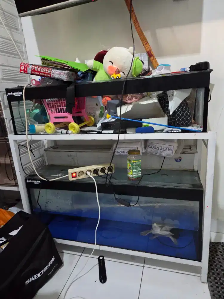 Aquarium rak tingkat 2 beserta isi nya