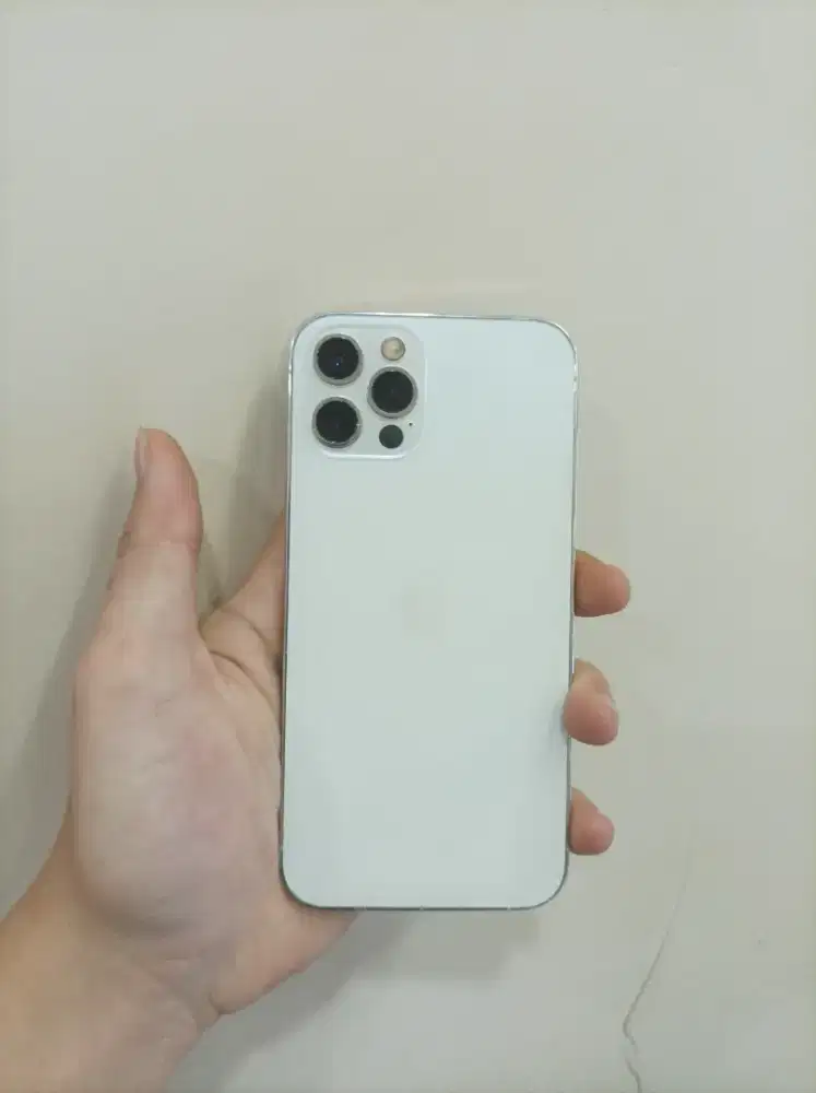 iphone 12 pro 256 gb inter all operator