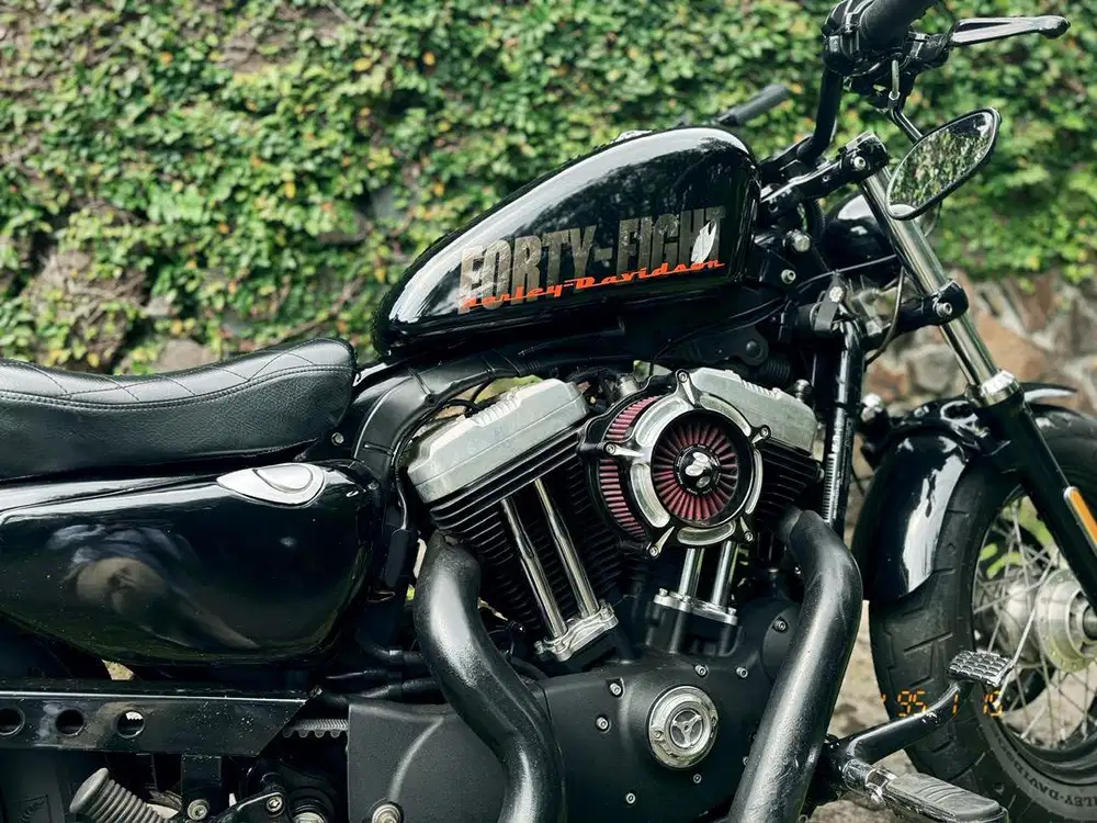 Sportster 48 1200 istimewa, bonus part modif banyak