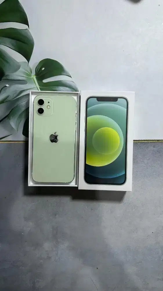 IPHONE 12 BASIC 256