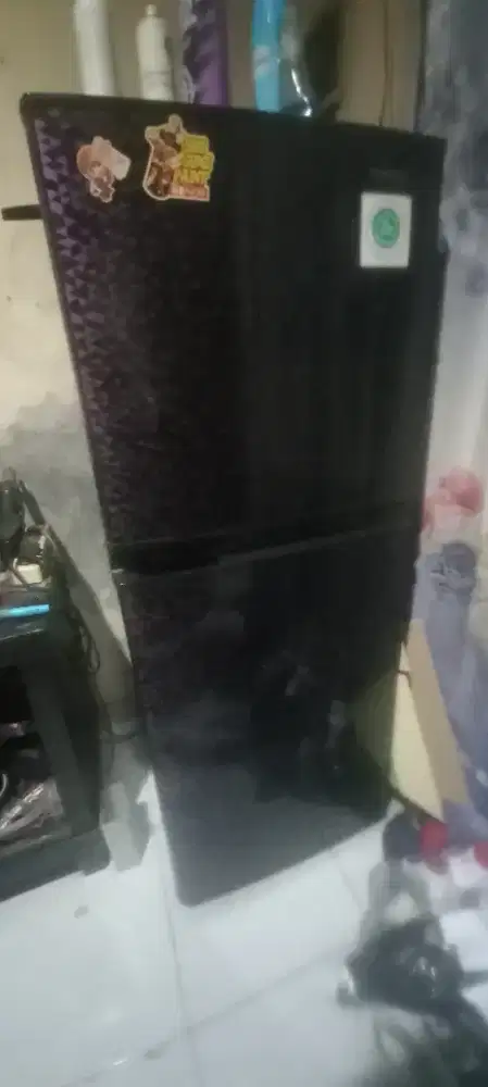 Kulkas sharp 2 pintu belleza