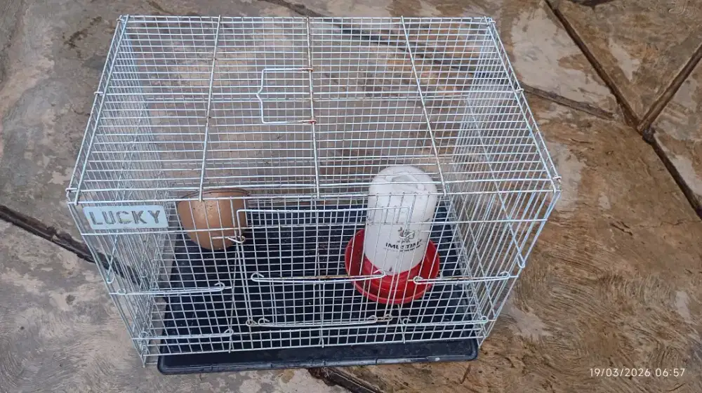 Dijual kandang ayam / burung