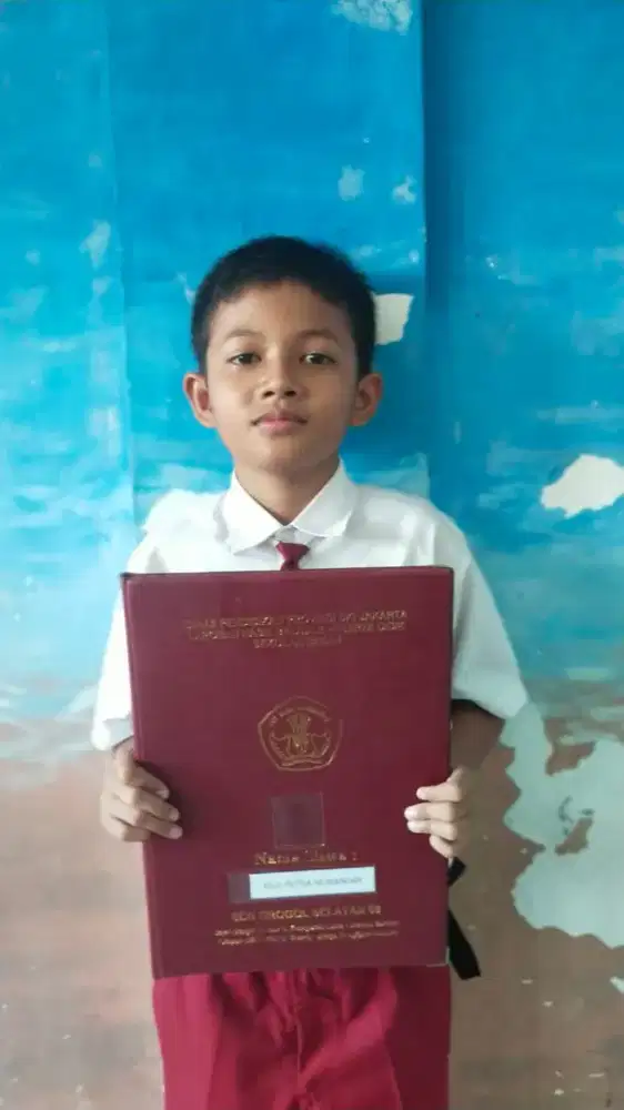 Jual ninja 250 banyak tambahanya