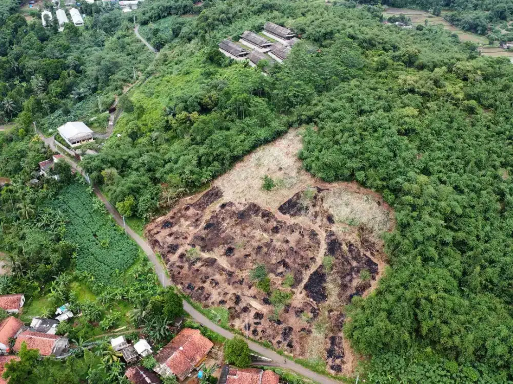 Tanah Luas 1,6 Ha SHM Rumpin – View Sawah Gunung, 300rb/m² Nego!