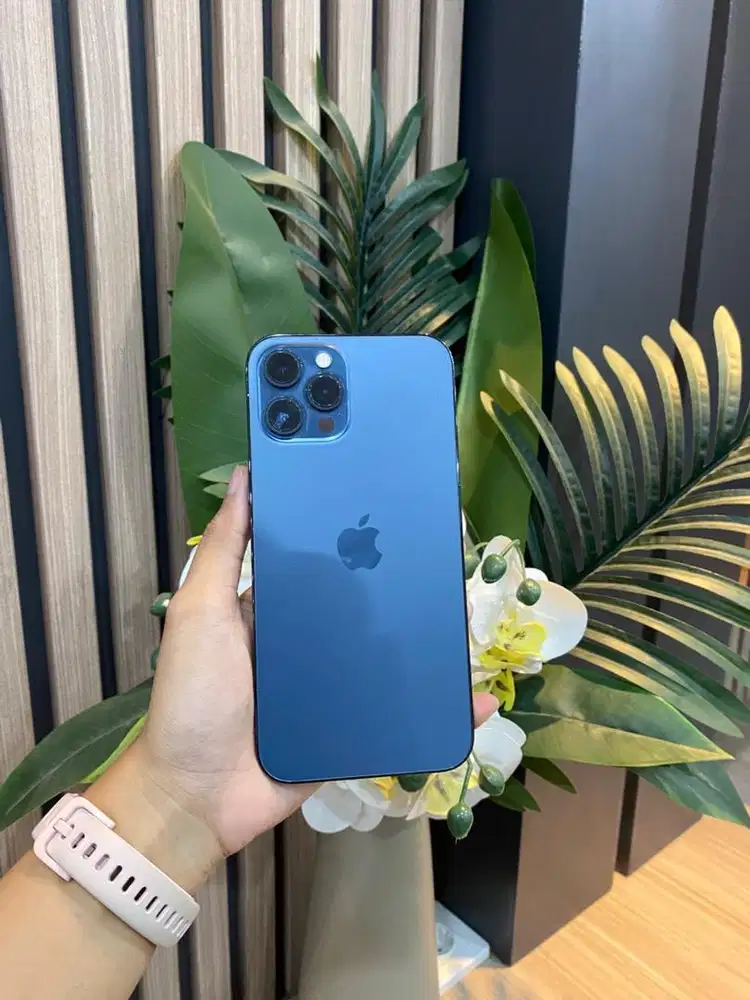ip 12 pm 256GB pacific blue