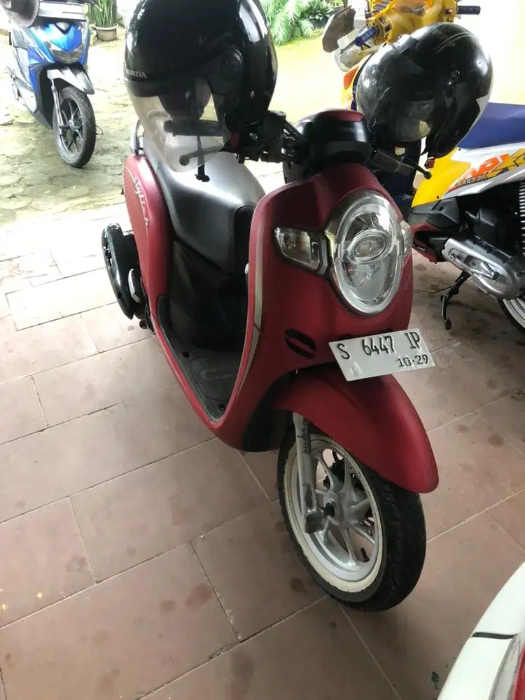 Scoopy 2019 type styles