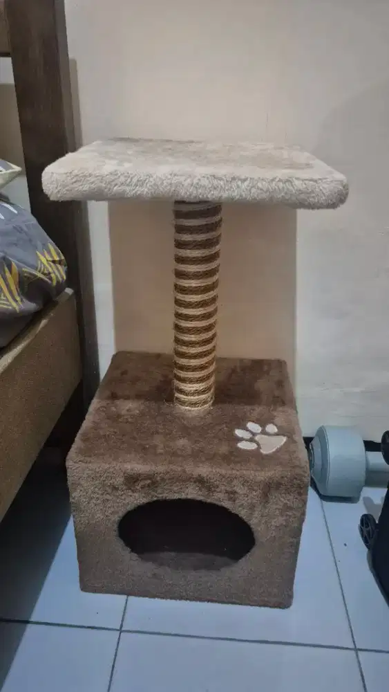 Mainan Garukan Kucing