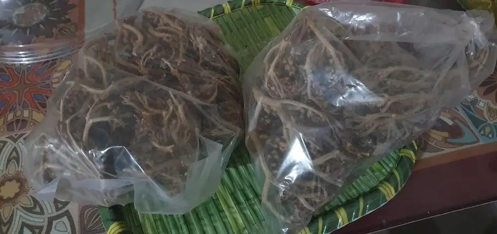 Gratis  Rumput Fatimah dr Mekkah