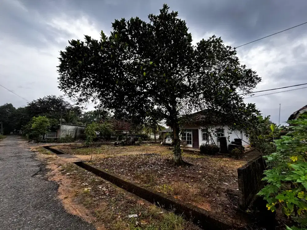 Jual Cepat Tanah Rumah Hook Lampung Timur