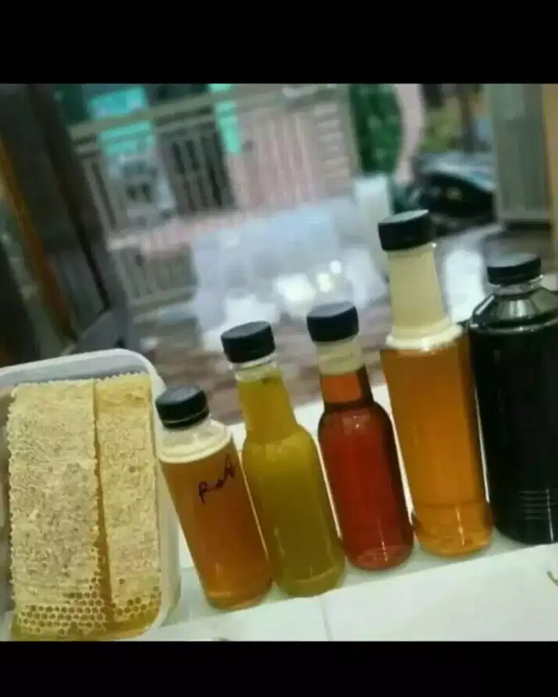 Ready asli madu ternaknya..madu sarang dan madu cair