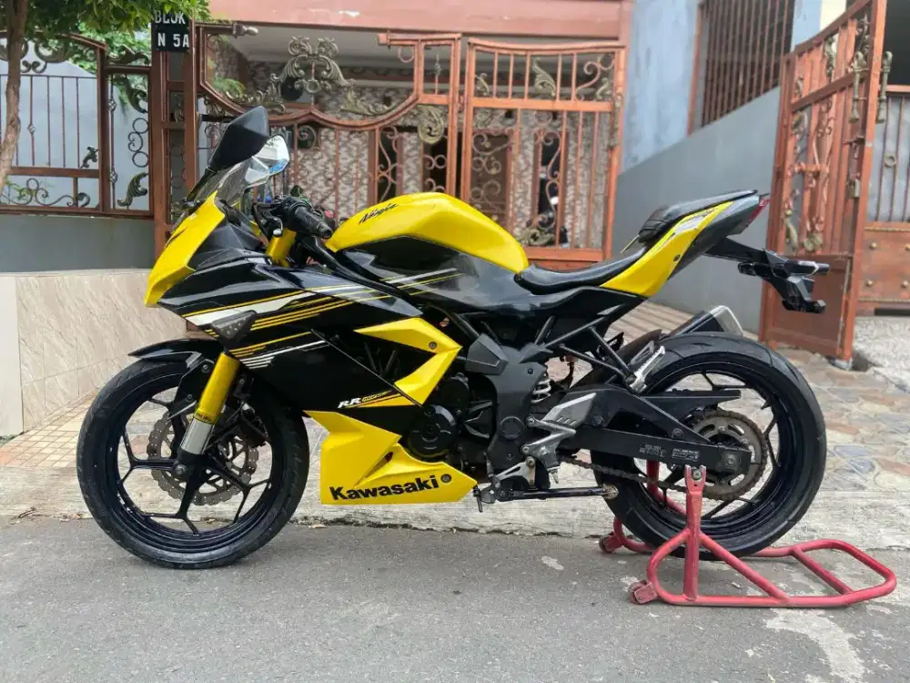 Kawasaki ninja 250Rr 2015