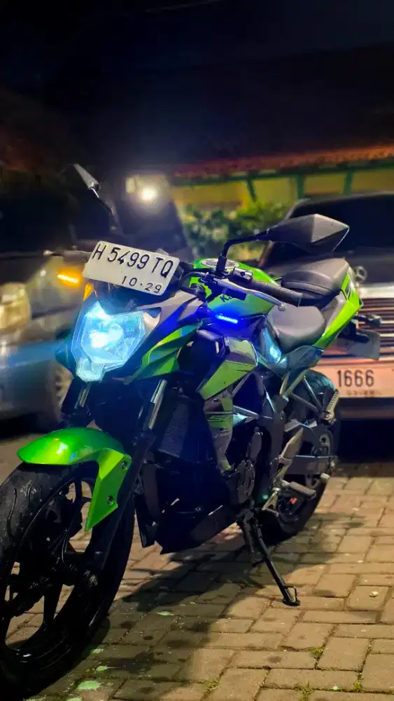 Kawasaki Ninja 250 Mono