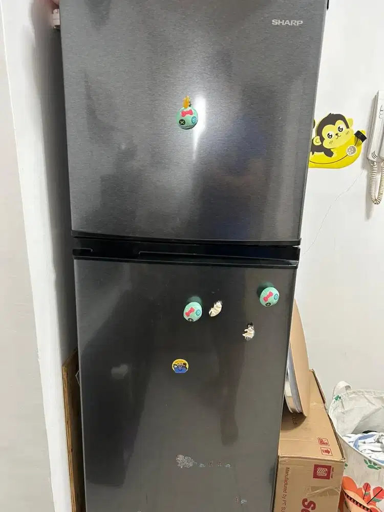 Kulkas sharp 2 pintu 237liter
