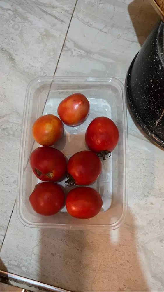 Loker ART Serabutan (Menginap) di Sidoarjo