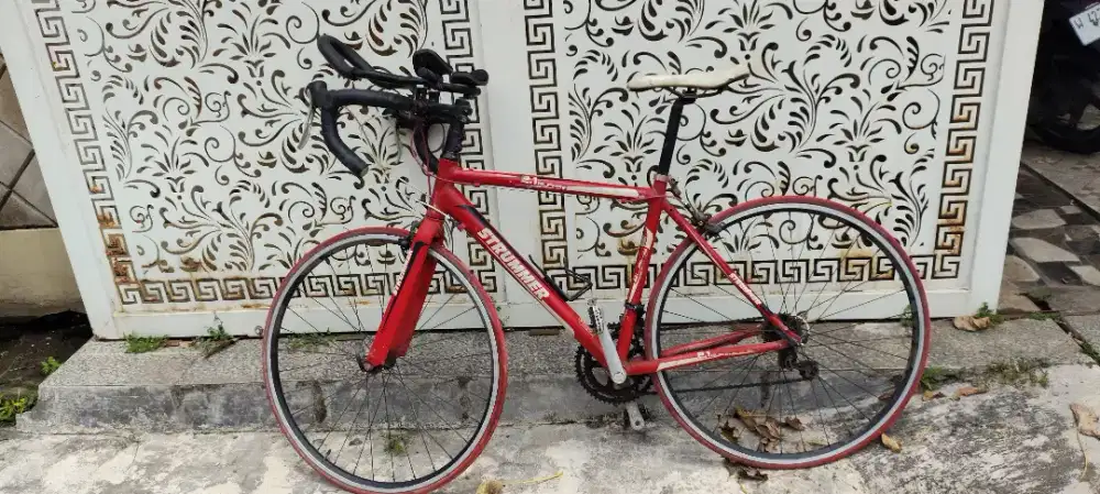 Sepeda Balap RB Strummer 2.1 Alpha