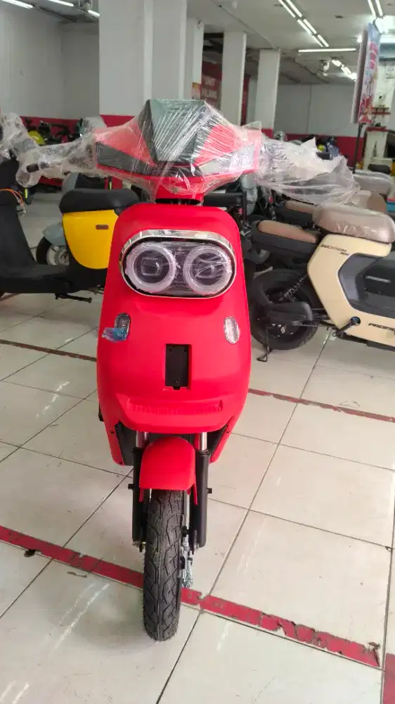 Jual Sepeda Listrik Exotic X-650