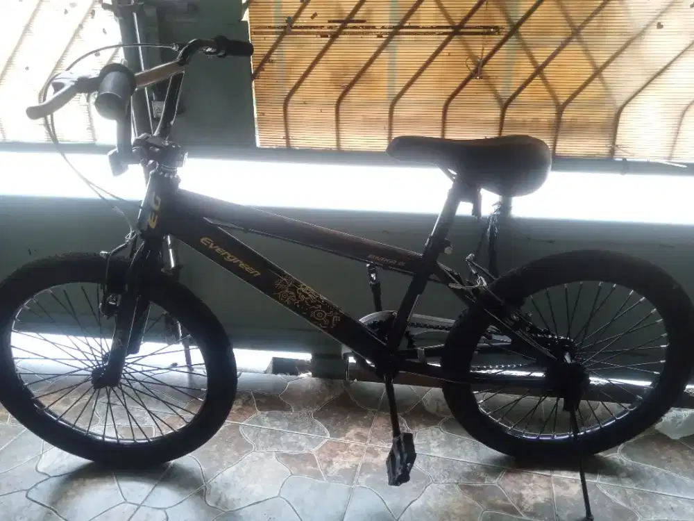 Sepeda BMX Evergreen 20 inch