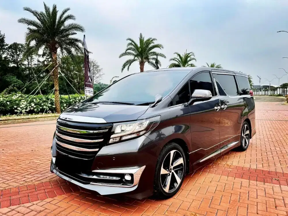 2017 Toyota Alphard SC Modellista