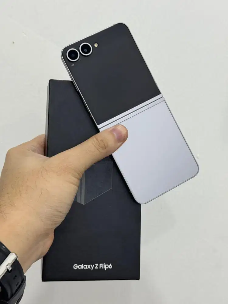 Samsung Z Flip 6 5G Silver 12/256Gb (SEIN)