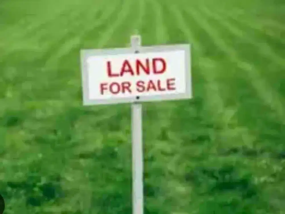 termurah mainroad cluster tanah bersebelahan sekolah ciputra citraland