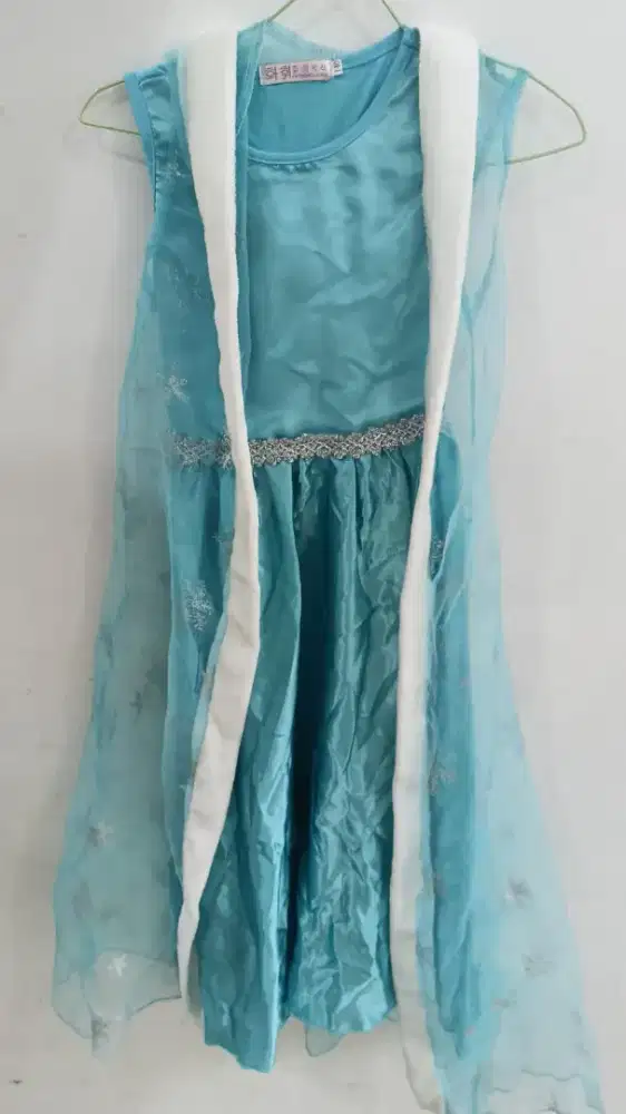 Dress elsa frozen