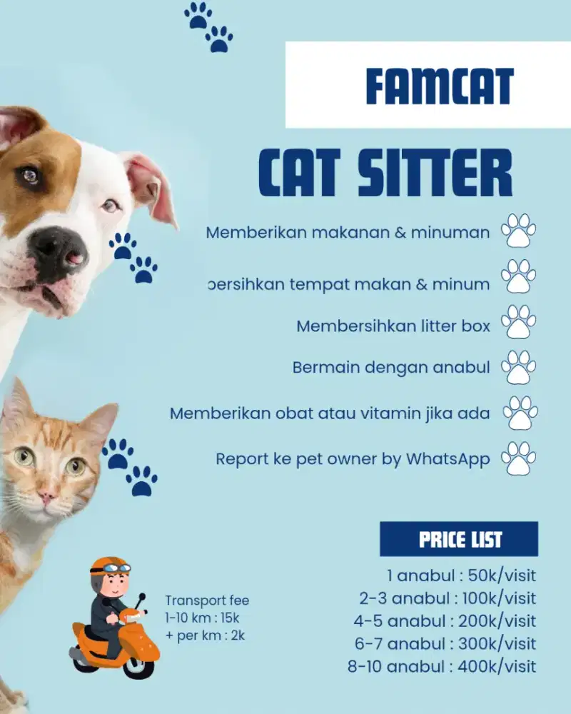 Cat Sitter Jabodetabek
