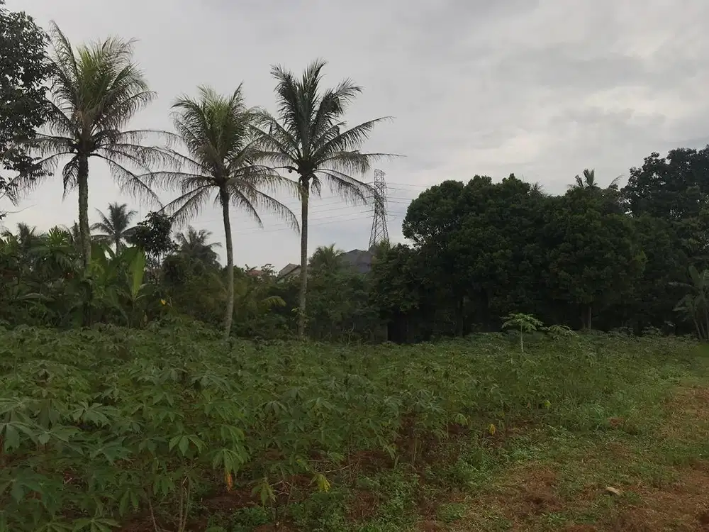 DIJUAL CEPAT TANAH MURAH DILOKASI STRATEGIS