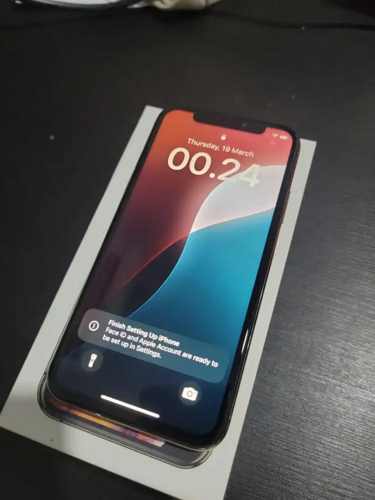 Iphone XS 256GB Inter All Operator