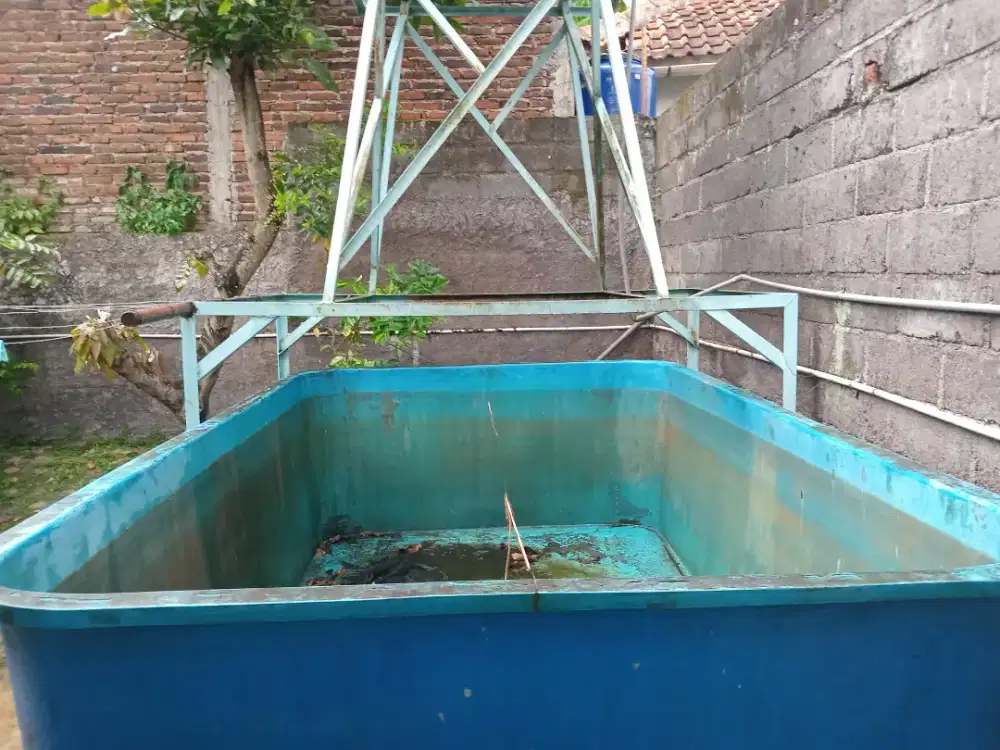 kolam ikan lele/mas