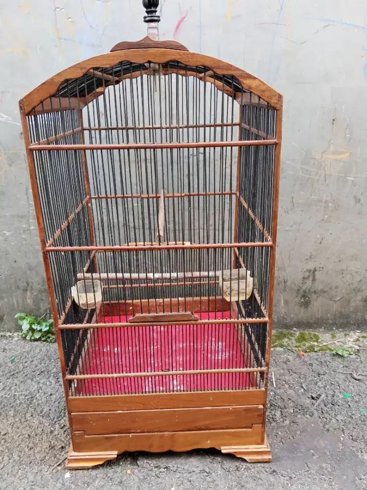 Kandang kosan jati tua no 2