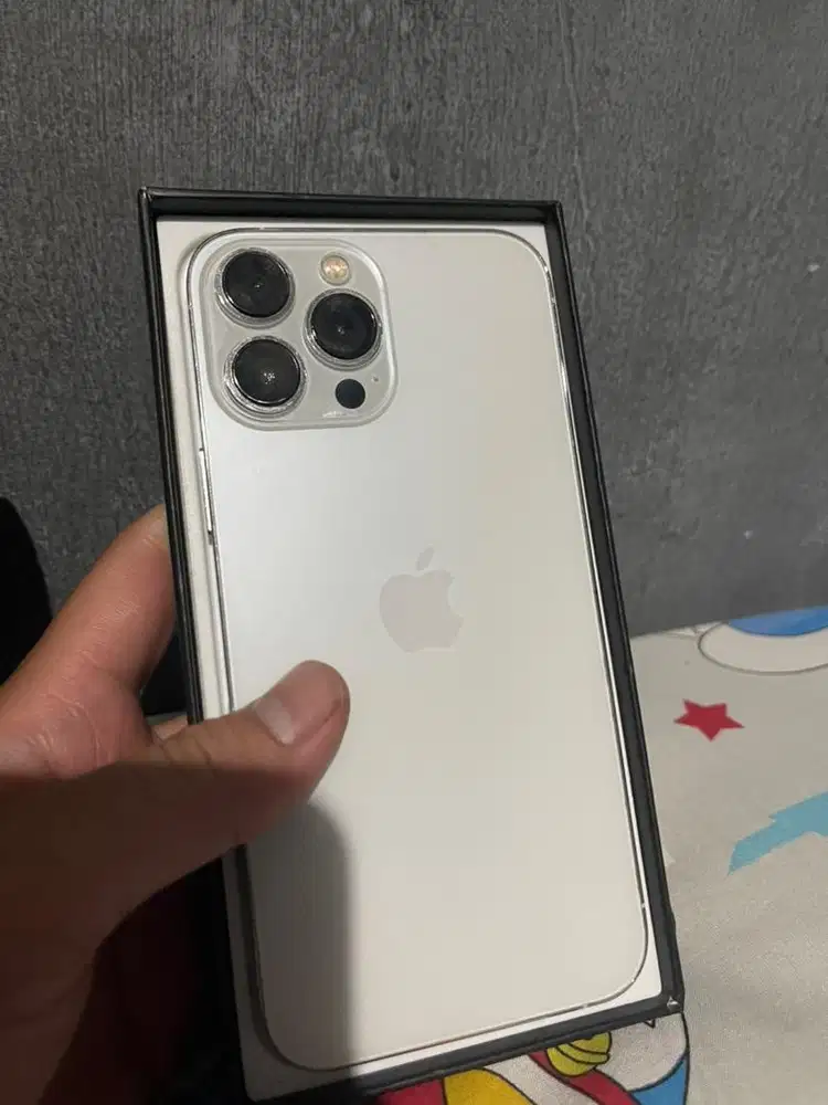 Iphone 13 pro max 256gb beacukai