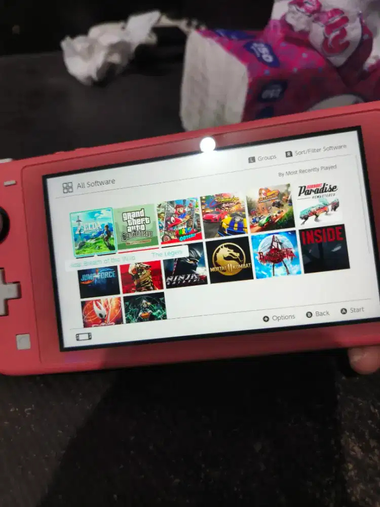 nintendo switch lite dual boot