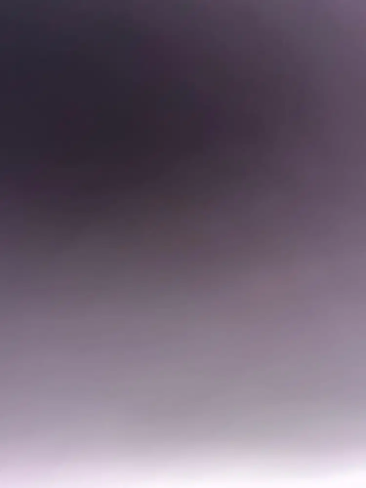 Pengasuh untuk 2 anak