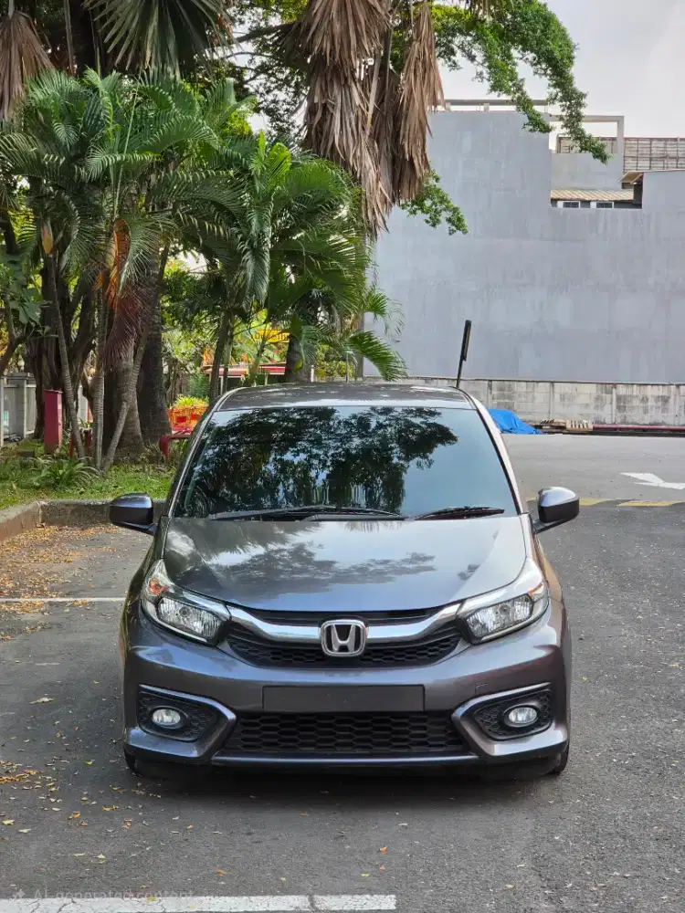 Brio E Satya AT 2020