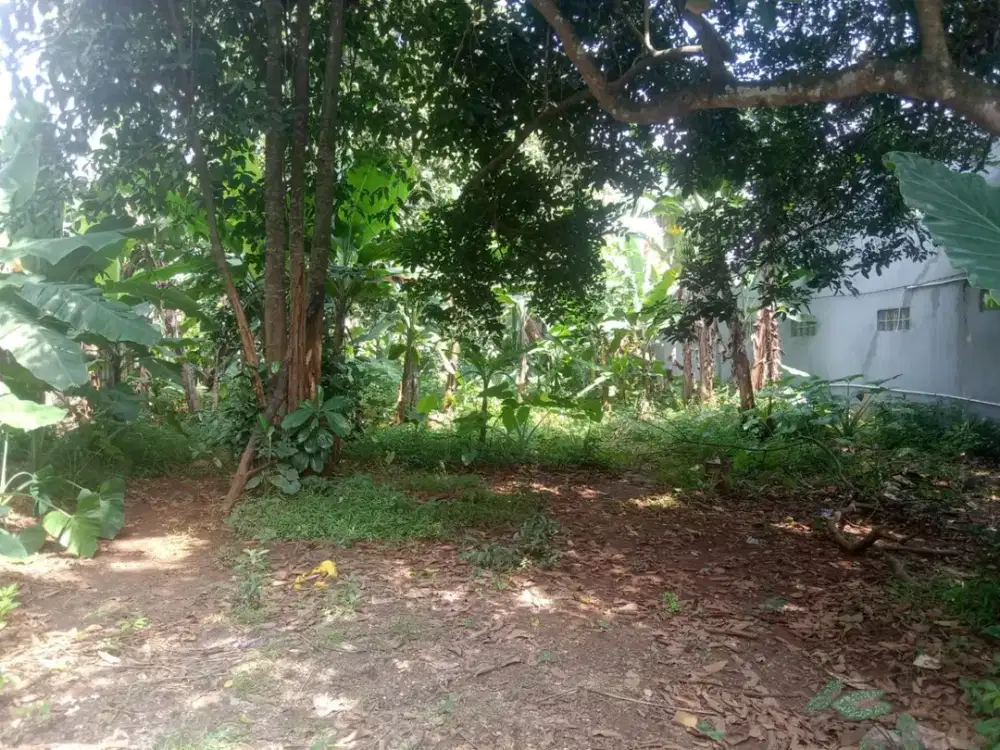 Dijual Tanah Pagedangan Tangerang